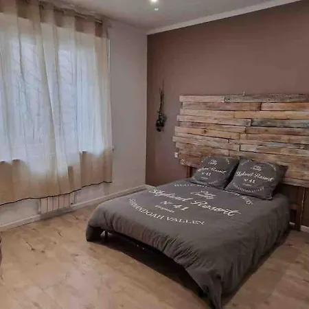 Apartamento La Perle Du Palais Carcasona